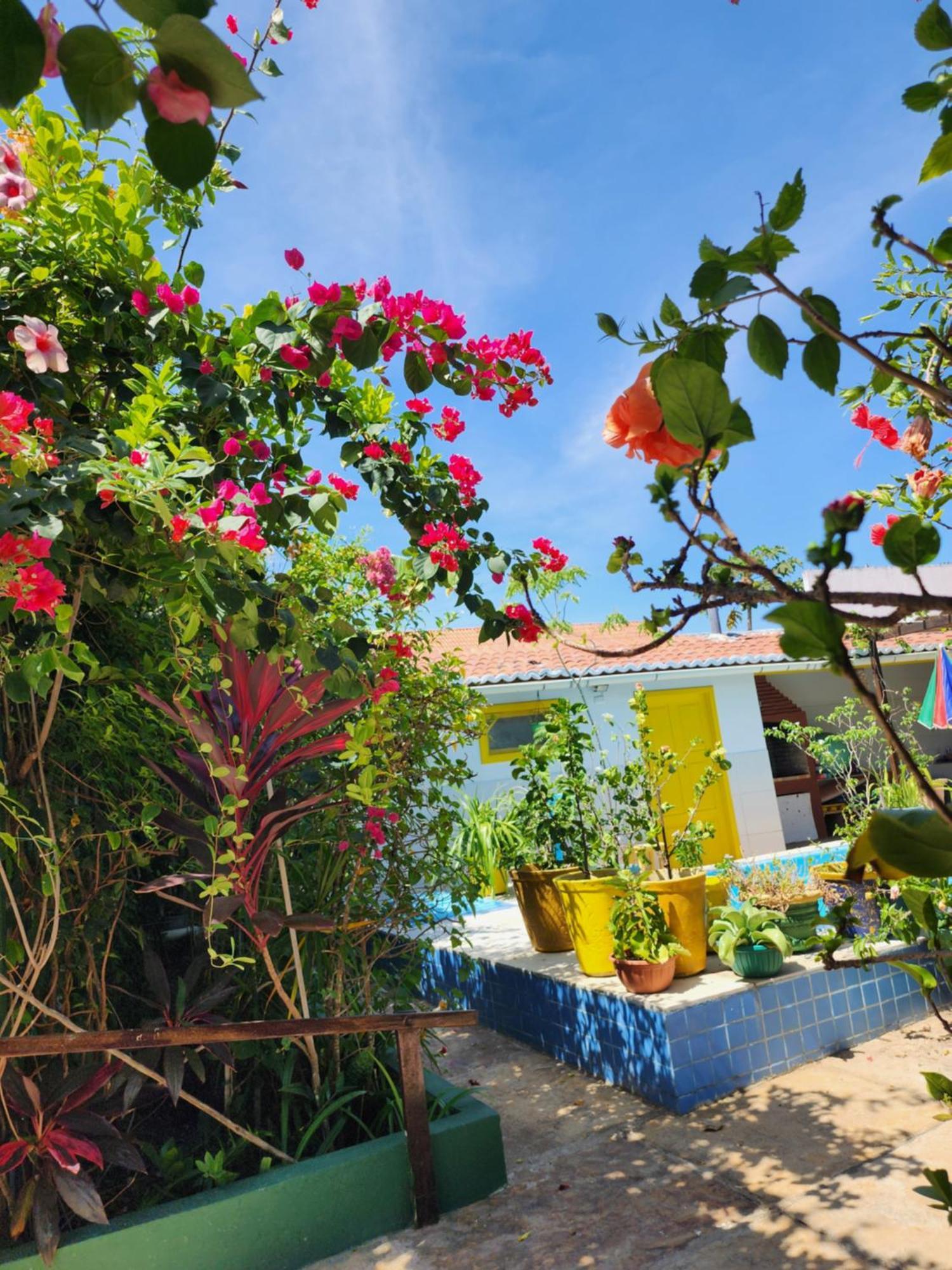 Mandala Dreams Pousada E Portal Holistico Maceió Zewnętrze zdjęcie