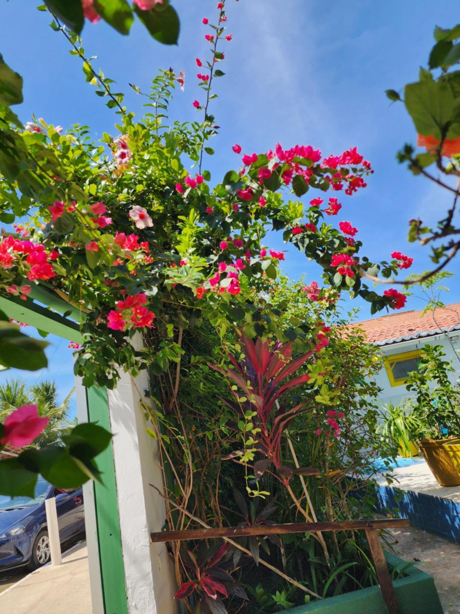 Mandala Dreams Pousada E Portal Holistico Maceió Zewnętrze zdjęcie